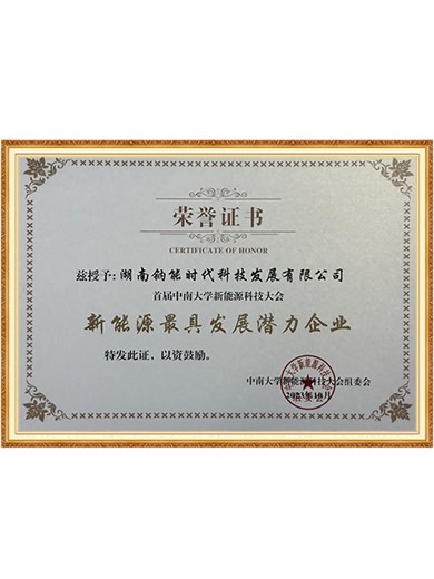 新能源最具發展潛力企業